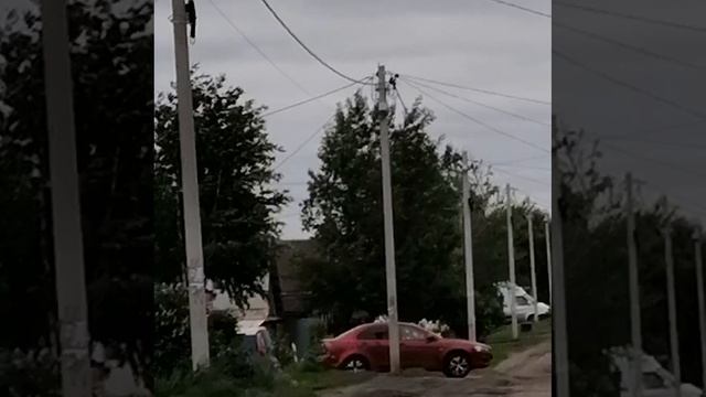 VID-20250524-WA0000.mp4