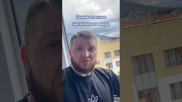Клещи убивают людей, а мы убиваем клещей. Dez-delo.ru