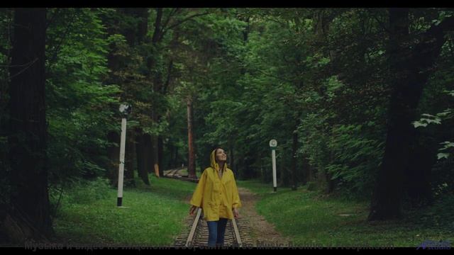 Ты не поймешь, как жил без этого раньше! - Palms and Seagulls -- Timecrawler 82 -- Osaka Lights