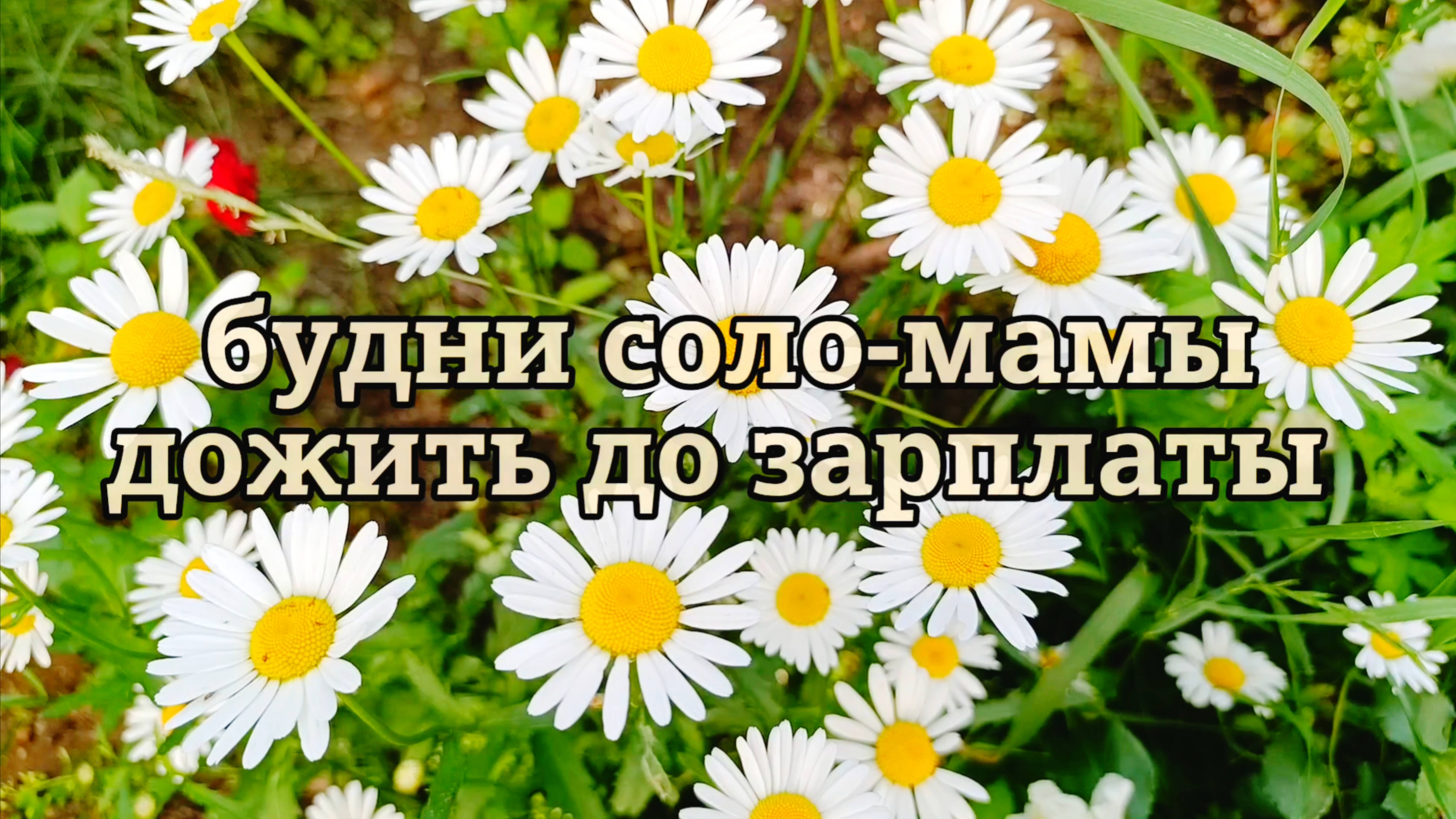 ОДНА С ДВУМЯ ДЕТЬМИ КАК ДОЖИТЬ ДО ЗАРПЛАТЫ