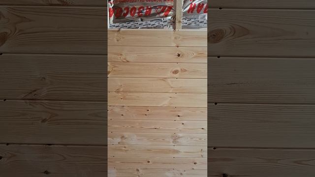 1000026740.mp4 (Собака смотрит на крепление имитации бруса внутри дома А-фрейм)