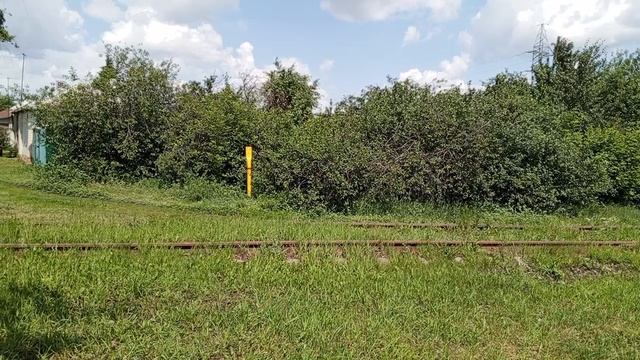 1000008860.mp4