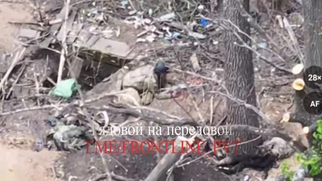 Штурмовики группировки войск «Центр» рассказали подробности освобождения населённого пункта Петровск