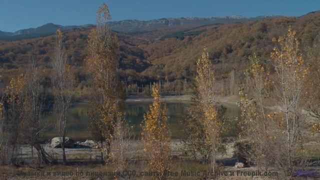 Красота Земли раскрывается в этом клипе - Carefree Morning -- Scott Holmes Music -- Happy Background