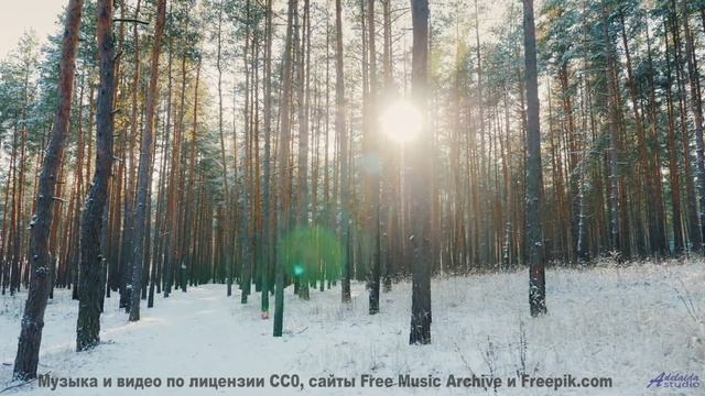 Леса шепчут свои истории вместе с этим треком - Why-Wait -- Ketsa -- The Lost Files