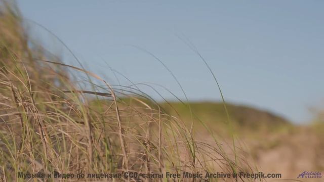 Эта мелодия заставит ваше сердце биться чаще - слушайте вместе! - Between-Each -- Ketsa -- As Above