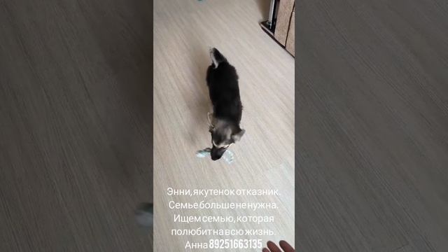 YouCut_20250617_234814026.mp4