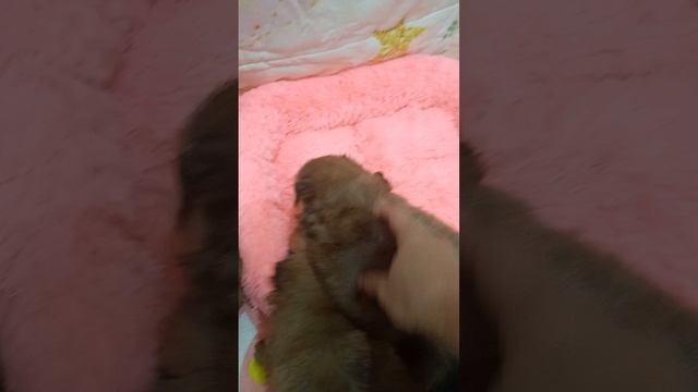 1000198630.mp4