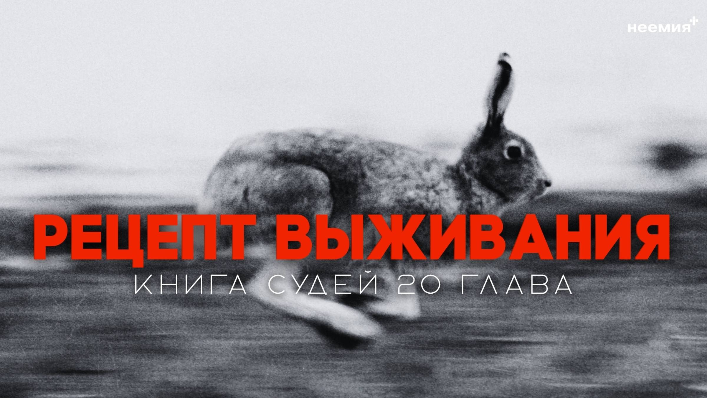Рецепт выживания | Сергей Дурасов | Церковь "Неемия" г. Омск