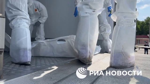 ⚡️Разбаланс потерь: РФ передала Куеву 6060 тел – и готова отдать еще 2239.