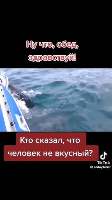 Морские приключения
