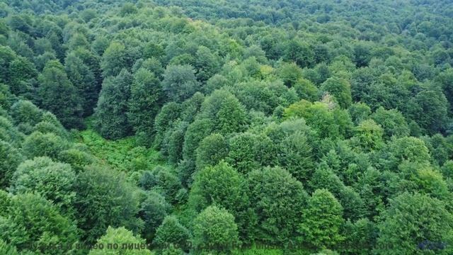 Включите погромче - и пусть дух захватывает! - Neat As A Pin -- A. A. Aalto -- Fest