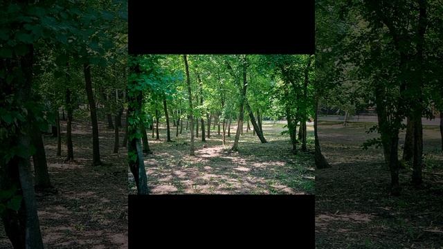 Городской Парк