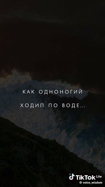 Житейское со смыслом – 11