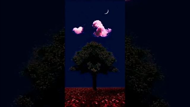 The Ambientalist-Circle Of Life