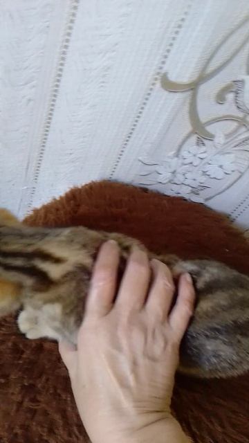 1000081864.mp4
