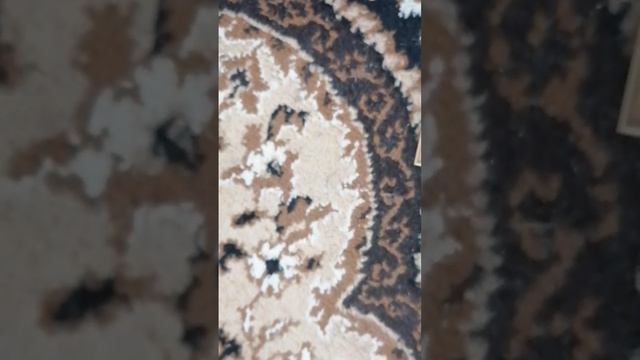 VID_20250617_133452.mp4