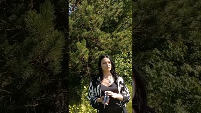 что может сделать вас счастливым