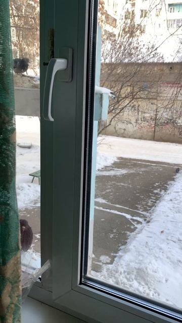 25 февраля 2024 г.