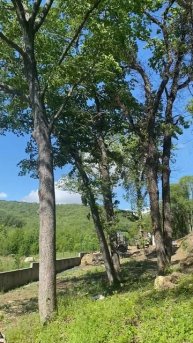 Видео Абрау