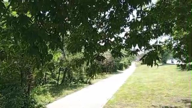 1000008917.mp4