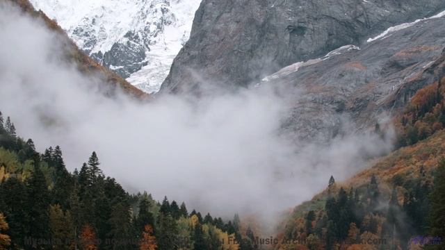 Поля под такой музыкой заставляют забыть про время - Blossoming -- Podington Bear -- Meet Podington