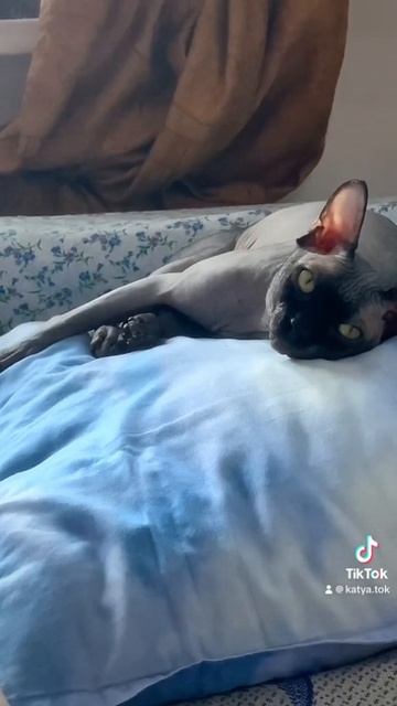 10 сентября 2023 г.