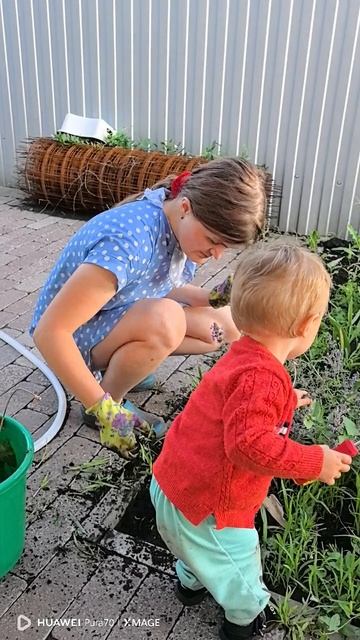Приводила в порядок сад в Рябинке
