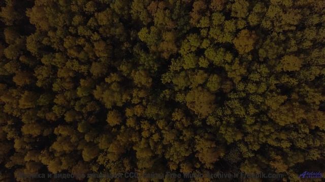 Пейзажи и музыка вместе дарят личный космос - Loneliness And Understanding 2 -- Kirk Osamayo -- Seas