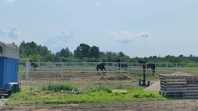 КСК "ATLANT PARK" Самара