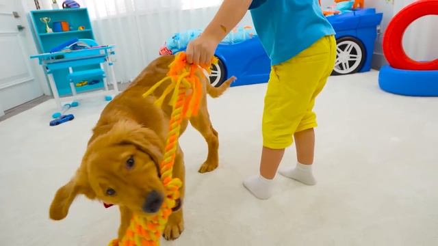 Крис хочет завести домашнее животное и играет с собакой-роботом