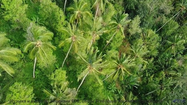 Эта мелодия синхронизирует хаос - услышьте порядок! - For Me -- Ketsa -- Through to Fall