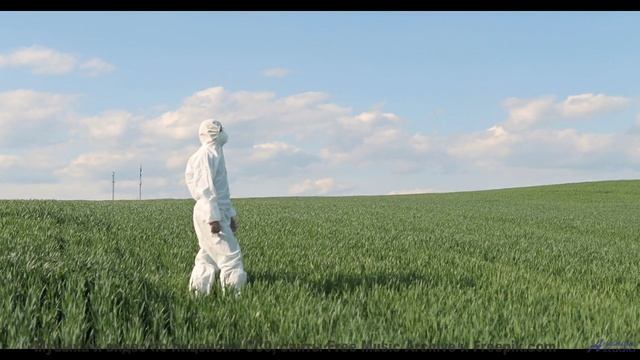 Взгляд прилипает к экрану, пока играет такая композиция - Lost In The Jungle -- HoliznaCC0 -- Lost