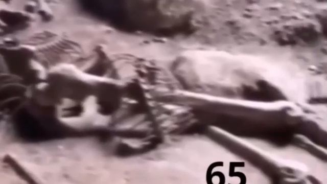 Гигантские скелеты человекоподобных существо обнаружили археологи где-то на территории Ирака.