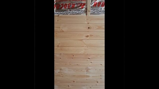 1000026757.mp4 (Собака смотрит на крепление имитации бруса внутри дома А-фрейм)