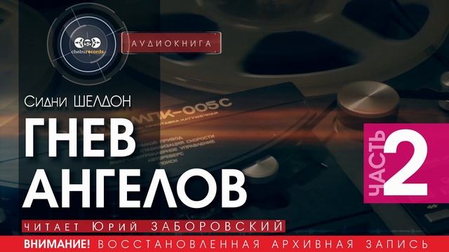 ГНЕВ АНГЕЛОВ - часть 2 - Сидни ШЕЛДОН (читает Юрий ЗАБОРОВСКИЙ) | аудиокниги слушать