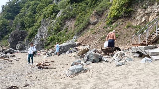 Даже собаки на море!