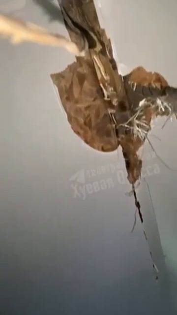 🇺🇸🇺🇦 Не всё ушло на Ближний Восток.В Одессе в дом влетел двигатель от ракеты Hydra 70, которую