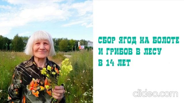 Сбор ягод на болоте и грибов в лесу в 14 лет