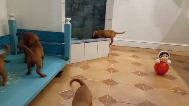 Каждое утро в нашем заведении...Муз. из к/ф Служебный роман