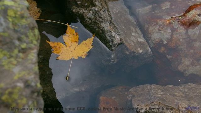 Эти леса под эту музыку - восторг - Bed of Weeds -- Derek Clegg -- Good Graces