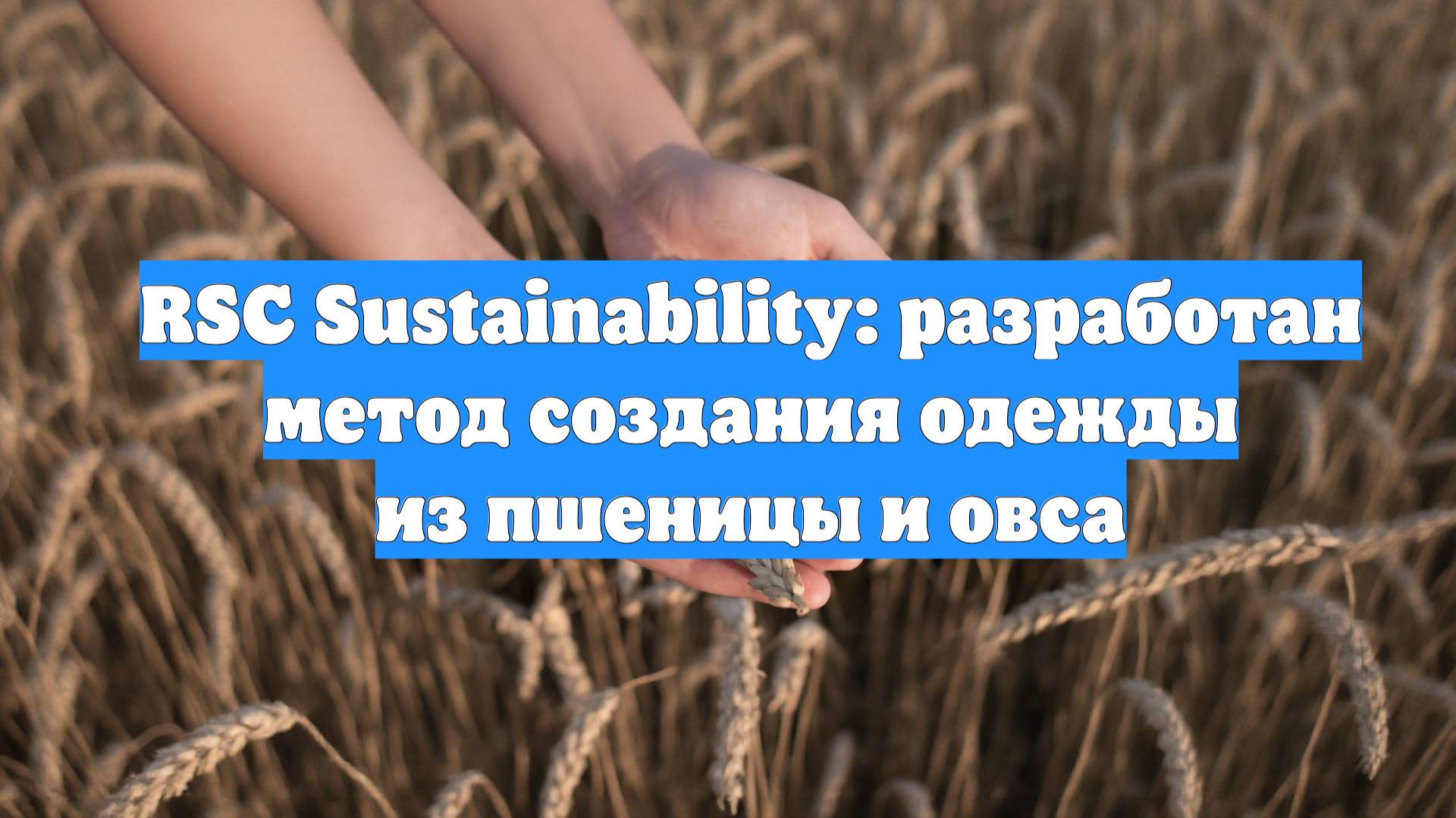 RSC Sustainability: разработан метод создания одежды из пшеницы и овса
