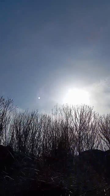 1000002540.mp4