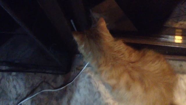 ВОТ ДЕЛАТЬ МНЕ БОЛЬШЕ НЕЧЕГО!ОДНОГО ВЫПУСТИ-ДРУГОГО ЗАПУСТИ!