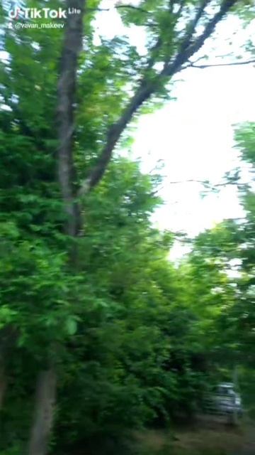 1001378125.mp4