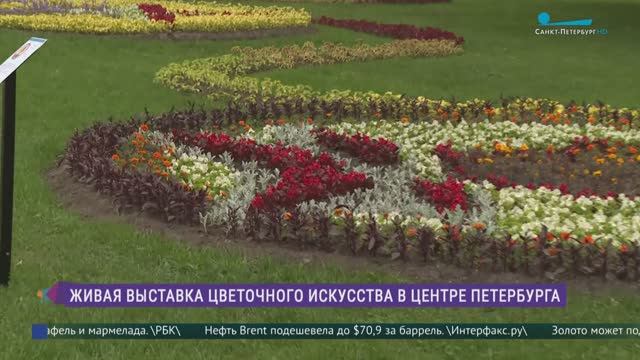Цветочная выставка в Александровском саду