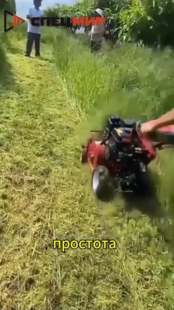 Ручная самоходная газонокосилка для борьбы с сорняками +7 (495) 108-72-91