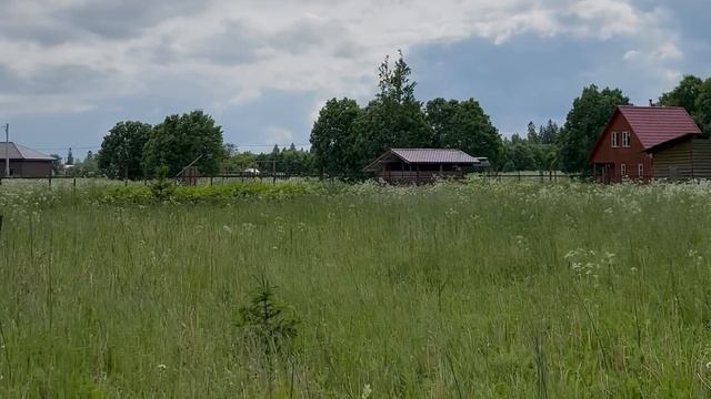 Участок 30 соток в Коложицы