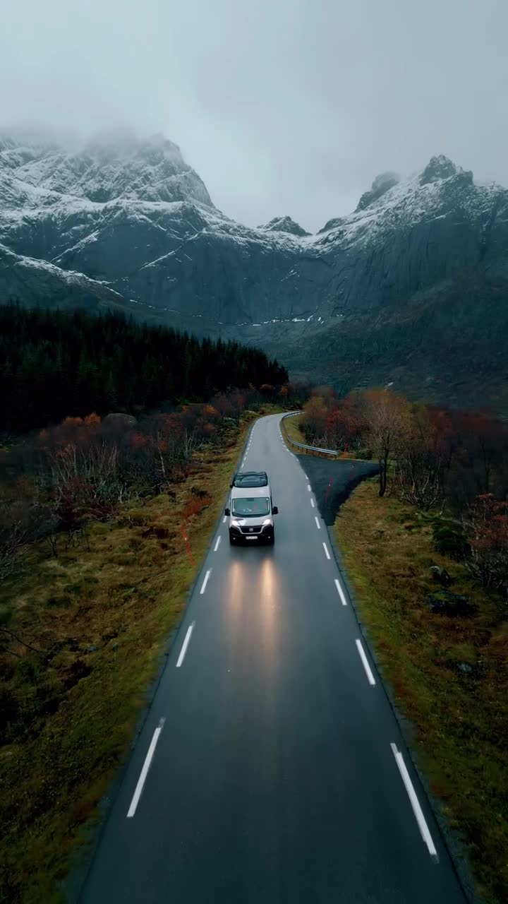 #лес #горы #дорога #авто