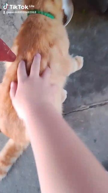 1000006559.mp4
